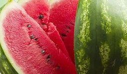 吃色瓜群头像,探寻色彩斑斓的“吃色瓜”群头像背后的故事