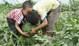 永年最新吃瓜事件,最新吃瓜事件揭秘，真相令人咋舌