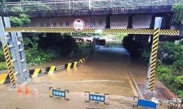 西班牙吃瓜群,揭秘西班牙美食文化圈