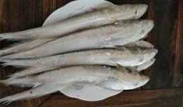 方瓜带鱼同时吃吗,探索同时食用的美味搭配