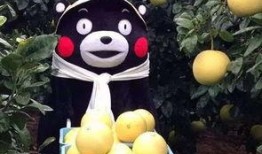 亲近大自然吃瓜,共享瓜果飘香时光