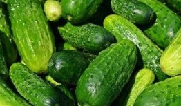 什么瓜可以吃吗,根据什么瓜可以吃的多样选择