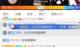 吃瓜区直播,揭秘网红幕后生活