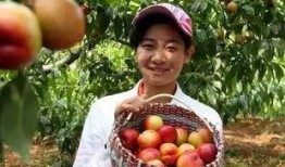 吃瓜放羊,揭秘农村生活的趣味与智慧