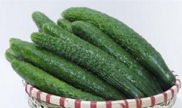 生瓜煮着吃,探索传统美食的独特魅力