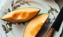 金搅瓜怎么吃,解锁美味新体验