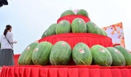 鄄城最新吃瓜事件,揭秘背后真相与网络热议