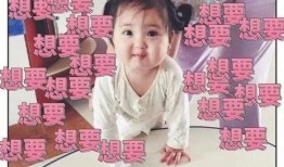 推荐吃瓜小阿妹小说,揭秘娱乐圈背后的秘密风云