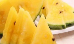 吃瓜秦朝哪里可看,揭秘“吃瓜秦朝”的神秘面纱