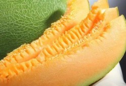 哈密瓜 几月吃,哈密瓜盛产季的味蕾盛宴