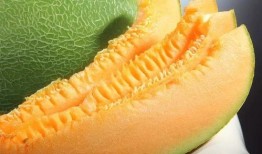 哈密瓜 几月吃,哈密瓜盛产季的味蕾盛宴