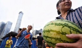 朝阳群众吃瓜入口,吃瓜群众中的“瓜界达人”