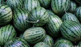 夏季吃瓜怎么挑,轻松挑出最甜最脆的夏日消暑佳品