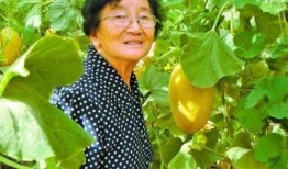 曹蕾吃瓜,揭秘娱乐圈幕后故事