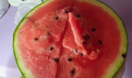 买瓜看瓜吃瓜,一场夏日的甜蜜冒险