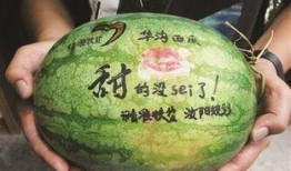 景景吃瓜,揭秘娱乐圈幕后故事