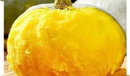 吃板栗瓜过敏吗,吃板栗瓜会引发过敏反应吗？