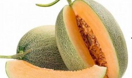 哈密瓜 几月吃,哈密瓜盛产季的味蕾盛宴