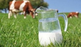 吃瓜吃奶粉,探寻健康生活的甜蜜秘诀