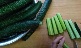 八餐吃瓜,一场味蕾的奇幻之旅