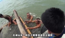 情侣海里吃瓜,情侣海里共享瓜果时光