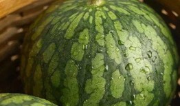 吃瓜焕儿,揭秘娱乐圈的甜蜜与苦涩