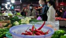 丽水公务员吃瓜,揭秘公务员圈内的“小确幸”与争议