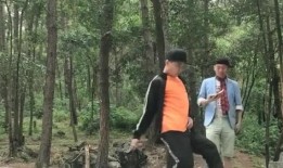 吃瓜的舞姿,探寻吃瓜者的独特舞姿魅力