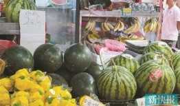 吃瓜白云区,揭秘白云区那些鲜为人知的幕后故事