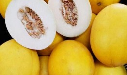 印象昌邑吃瓜,瓜果飘香，品味生活