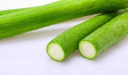 吃瓜要适量,品味生活真谛