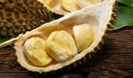 榴莲瓜园吃西瓜,一场西瓜的奇幻之旅