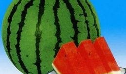 埔瓜吃清凉,夏日消暑新风尚