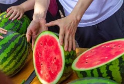 鱼妖吃瓜,瓜田里的神秘食客