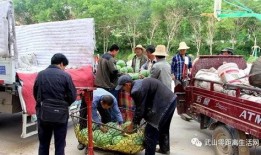 吃瓜群众岱岱股票,吃瓜群众的投资之旅