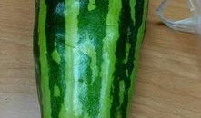 啥叫吃瓜了,网络时代的围观文化