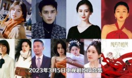 大型吃瓜连续剧,揭秘娱乐圈背后的风云变幻