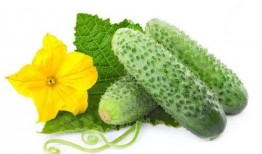 李茶茶吃瓜系统,揭秘娱乐圈幕后真相