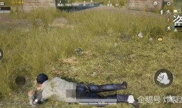 靠吃瓜做任务赚钱,揭秘吃瓜也能赚钱的神奇任务