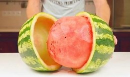 空调房吃瓜,夏日空调房里的清凉瓜趣