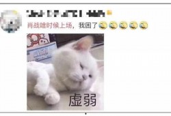 吃瓜恋爱段子大全,恋爱段子大盘点