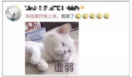 吃瓜恋爱段子大全,恋爱段子大盘点