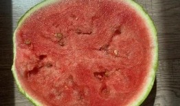 美术系吃瓜,一场吃瓜盛宴背后的艺术圈秘闻