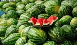 顿顿吃瓜呛到,揭秘娱乐圈的“瓜田”奇遇