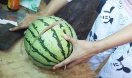 吃瓜网怎么制作,轻松制作热门话题概述文章的秘诀