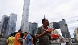 朝阳群众吃瓜入口,吃瓜群众中的“瓜界达人”