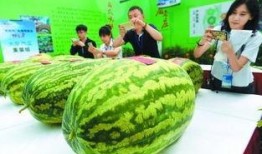 51吃瓜北京朝阳热心,揭秘北京朝阳热心人士的暖心故事”