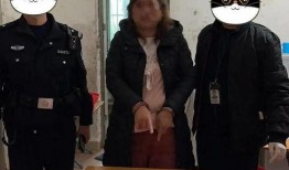 繁峙警察吃瓜,揭秘警界内部风波