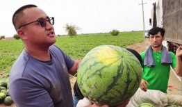 吃瓜放羊,揭秘农村生活的趣味与智慧