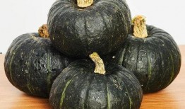 婴儿吃贝贝瓜百科,婴儿辅食新选择，营养美味两不误